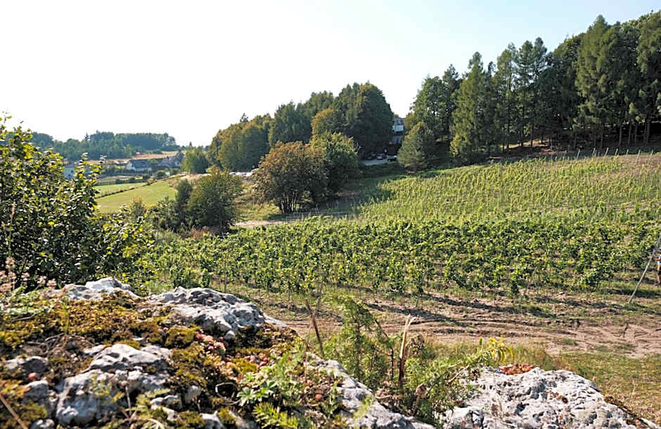 Poziom 511 Design Hotel & Spa