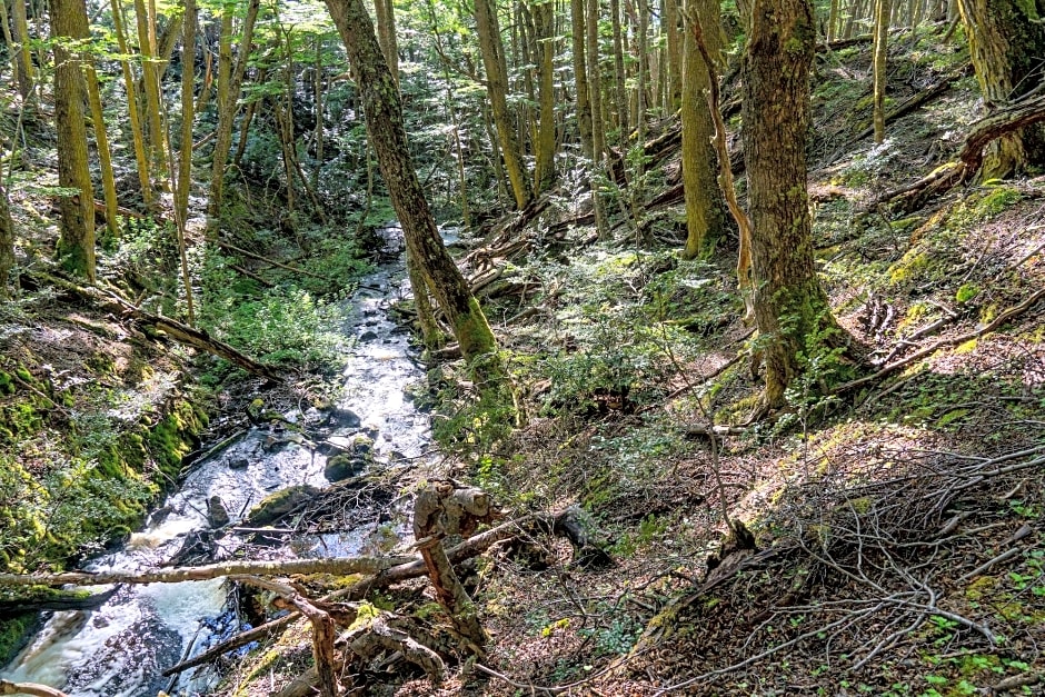 CabaÃ±as Del Martial