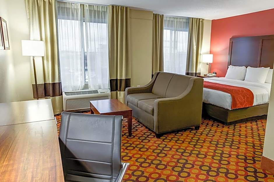 Photo 1 of 7 of Studio 1 King Bed Suite