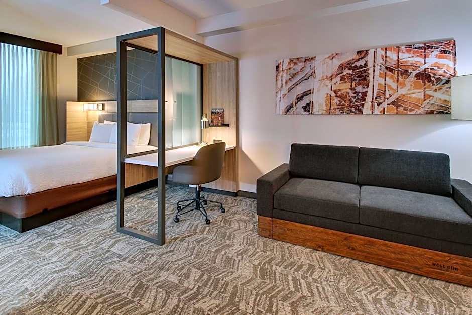 SpringHill Suites by Marriott Birmingham Downtown at UAB