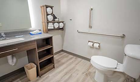 1 Queen Mobility Accessible Hearing Impaired Roll In Shower