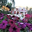 Glacier View Guest House