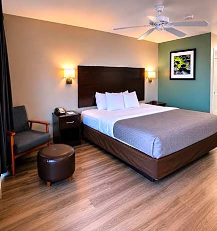 King Room - Non-Smoking