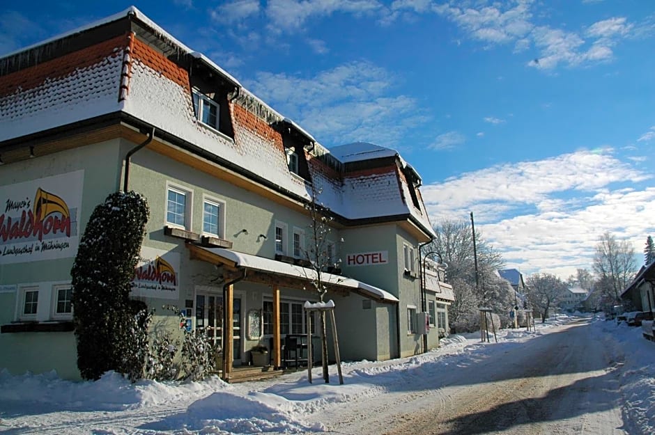 Mayers Waldhorn - zwischen Reutlingen und Tübingen