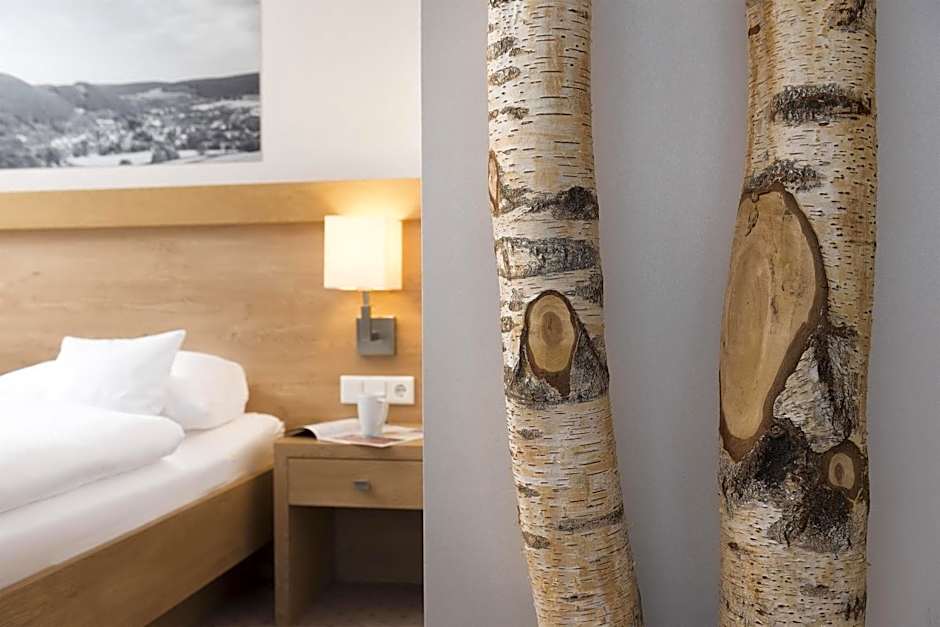 Best Western Plus Hotel Willingen