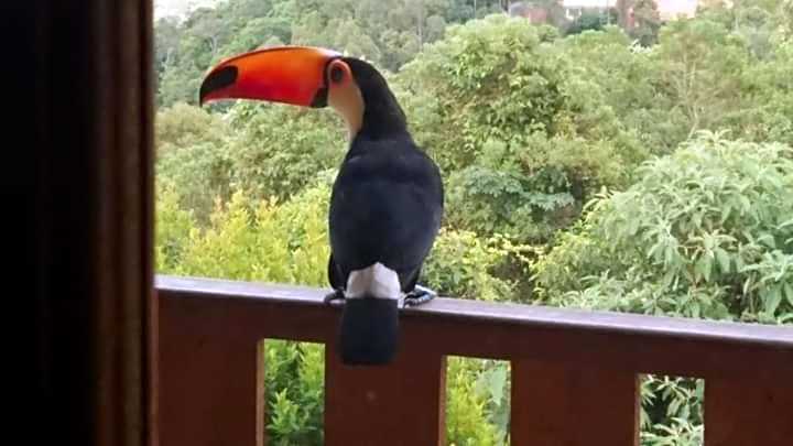 Pousada Vale do Horizonte