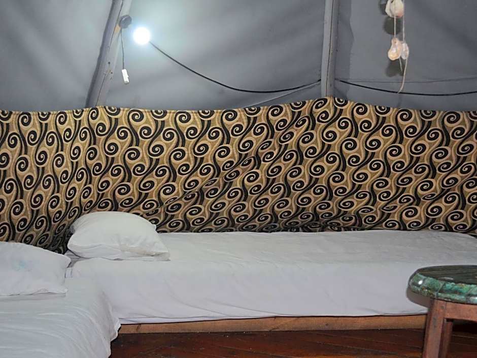 Photo 1 of 4 of Standard Tent