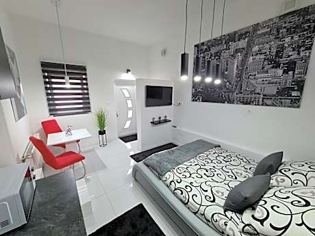 Apartment with Shower