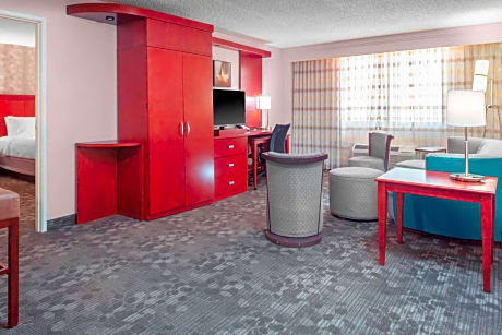 Suite, 1 Bedroom (1 King Bed and 1 Double Sofa Bed)