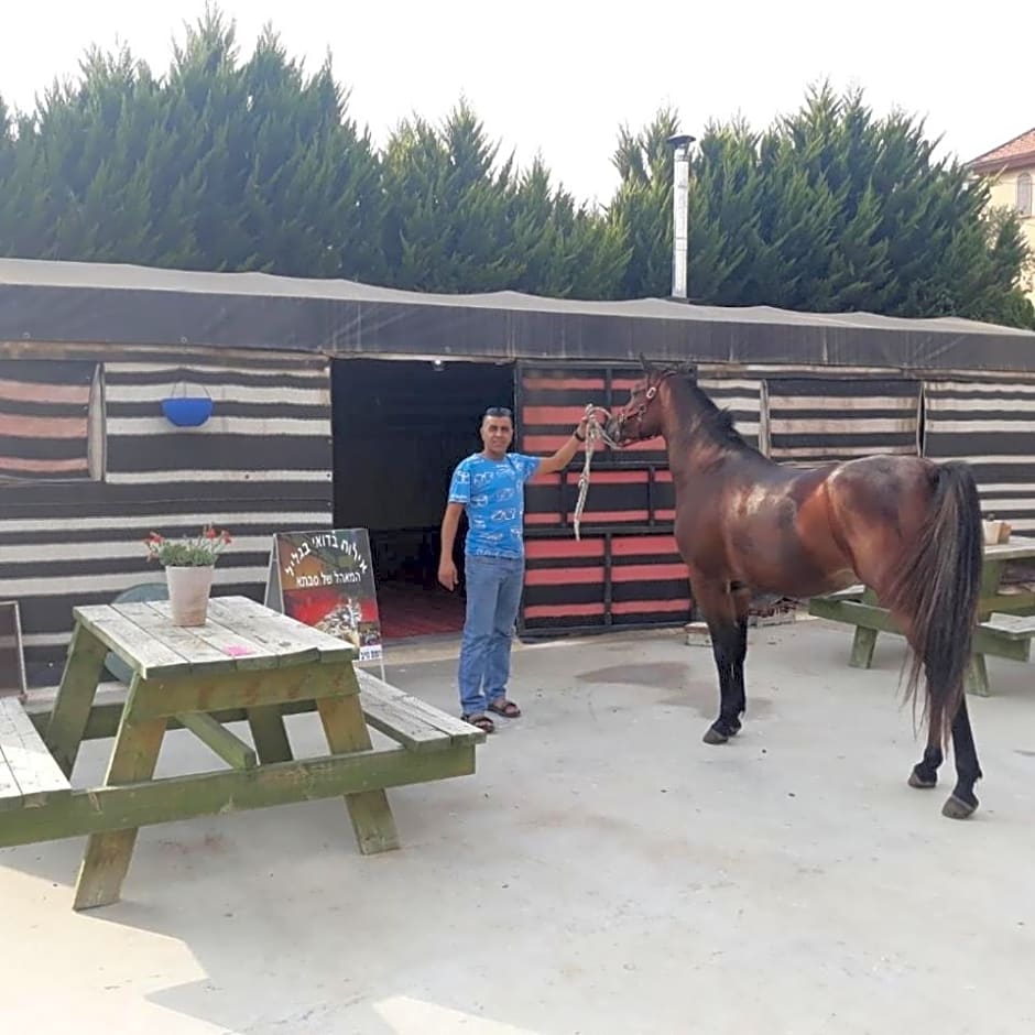 bedouin guest house