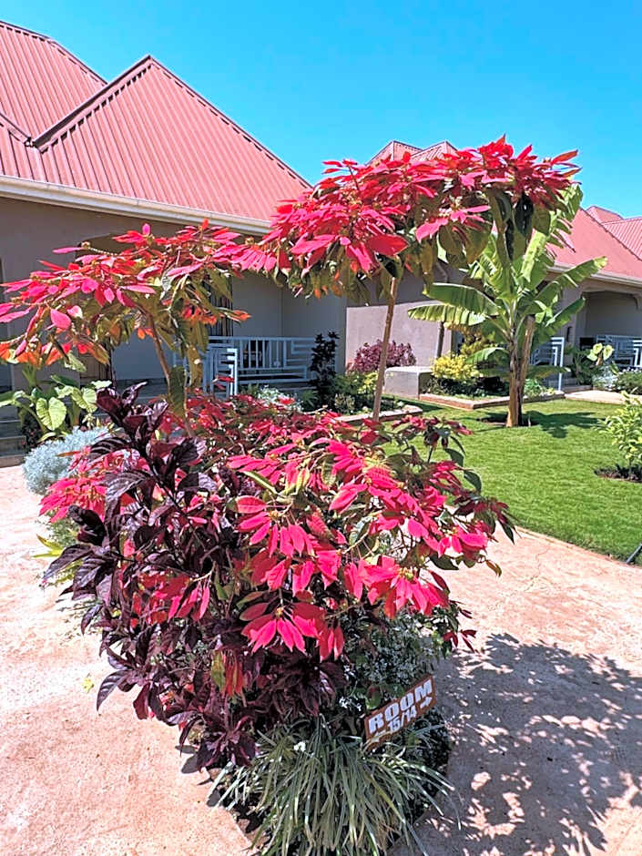 Heart and Soul Lodge