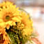 Ristorante Hotel Lucia - 100 mt dal mare