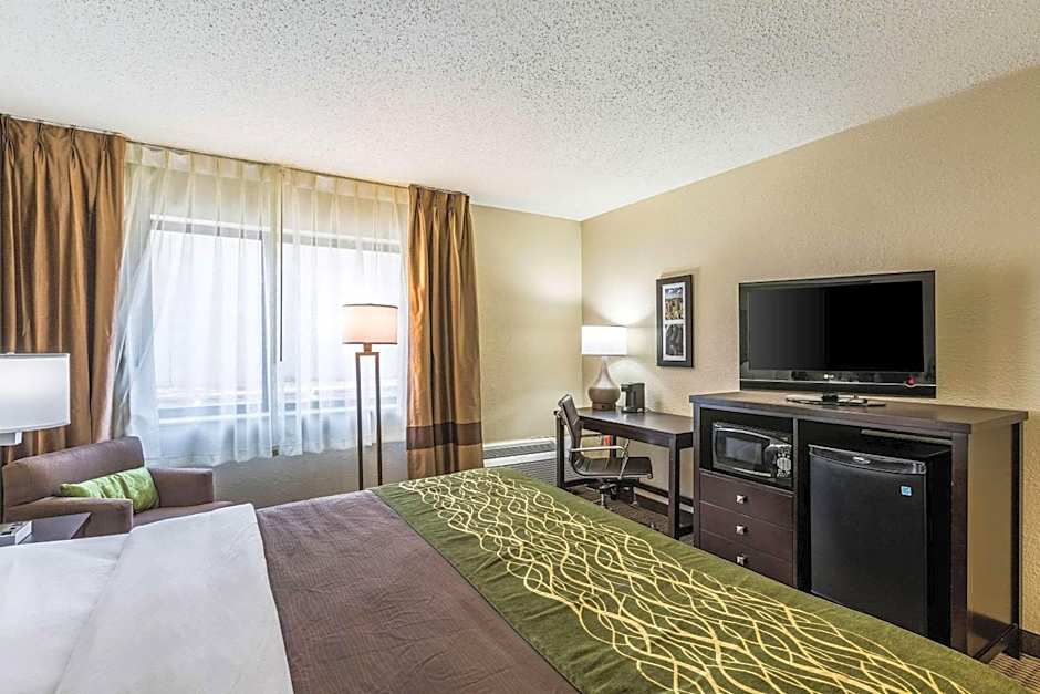 Comfort Inn Detroit Downtown