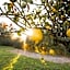 Quinta da Luz - A Luxury Boutique B&B