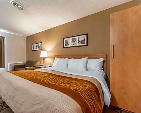 1 King Bed, Business Room, Nonsmoking