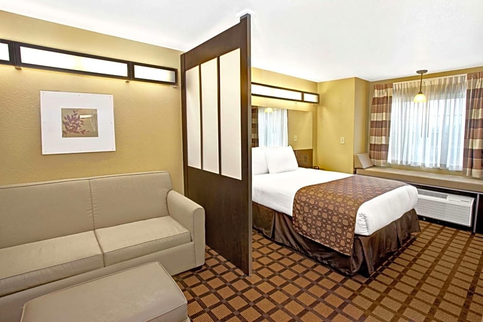 Microtel Inn & Suites by Wyndham Cartersville