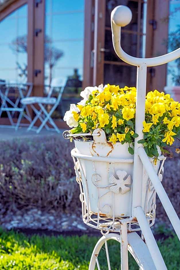 Feniks Agro&Spa Adults Only