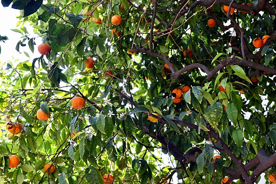 Hotel La Villa Nice Promenade