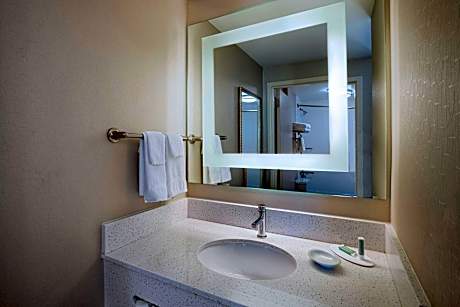 King Suite with Roll-In Shower and Trundle Sofa - Mobility Access/Hearing Accessible