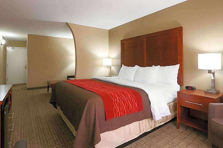 Comfort Inn & Suites Leeds I-20