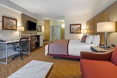 Large King Room with Sofa Bed - Non-Smoking