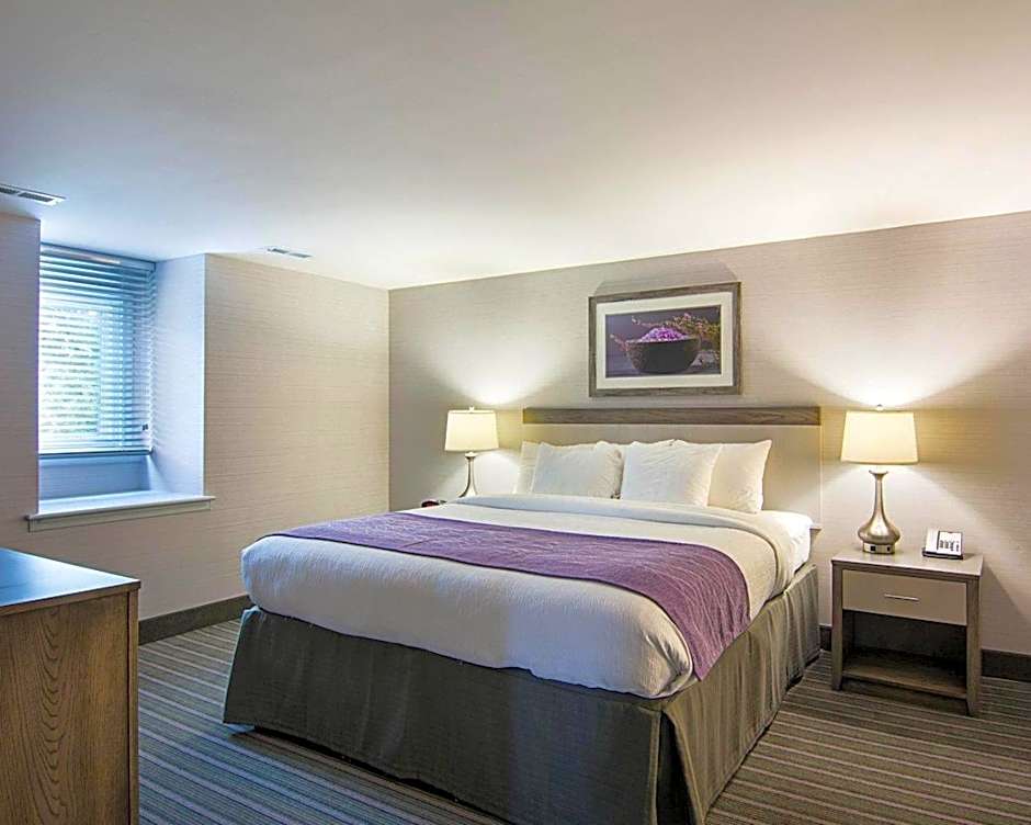Comfort Inn Williamsburg Gateway