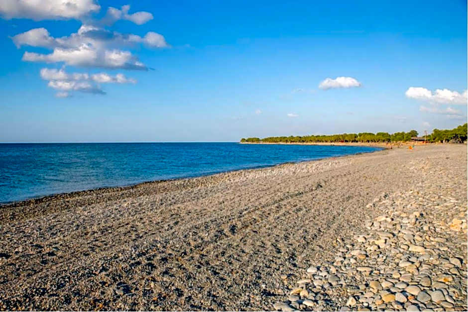 San Antonio Apartments