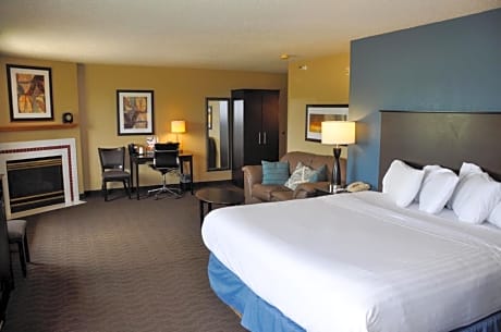 Premier King Studio Suite - Non-Smoking