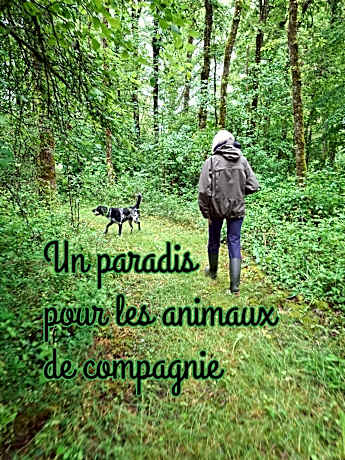 Sérénité Verte à La Tuilerie Accommodation