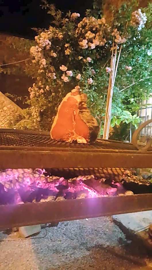 Bed And Breakfast Belvedere