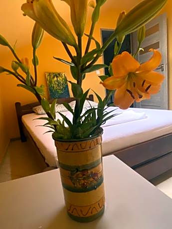 One-bedroom Loft Apartment