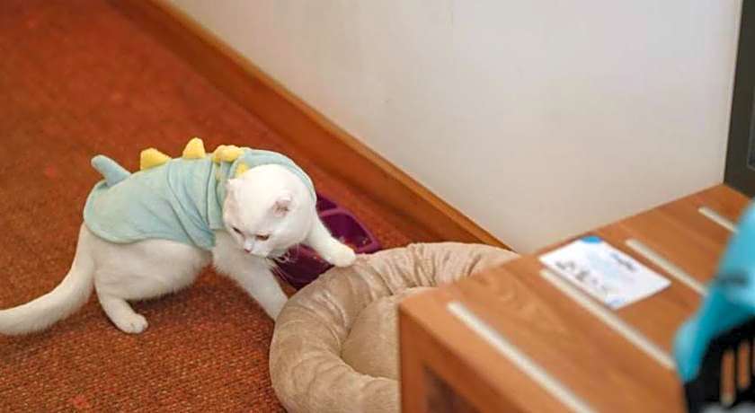 Ramada by Wyndham Karacabey