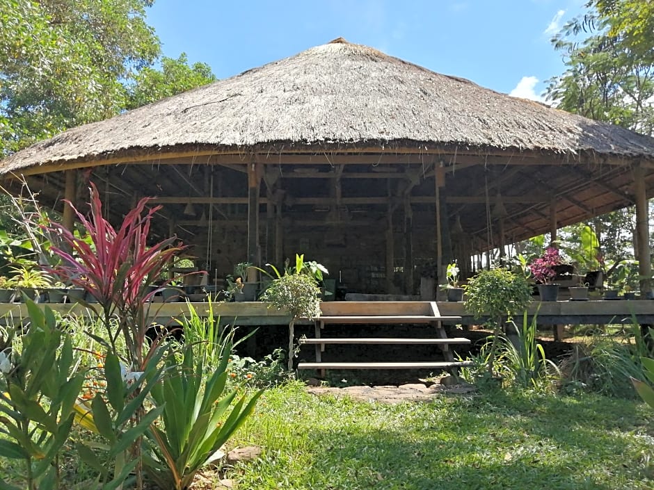 Fandee Island - Tad Lo - Bolaven Loop Pakse