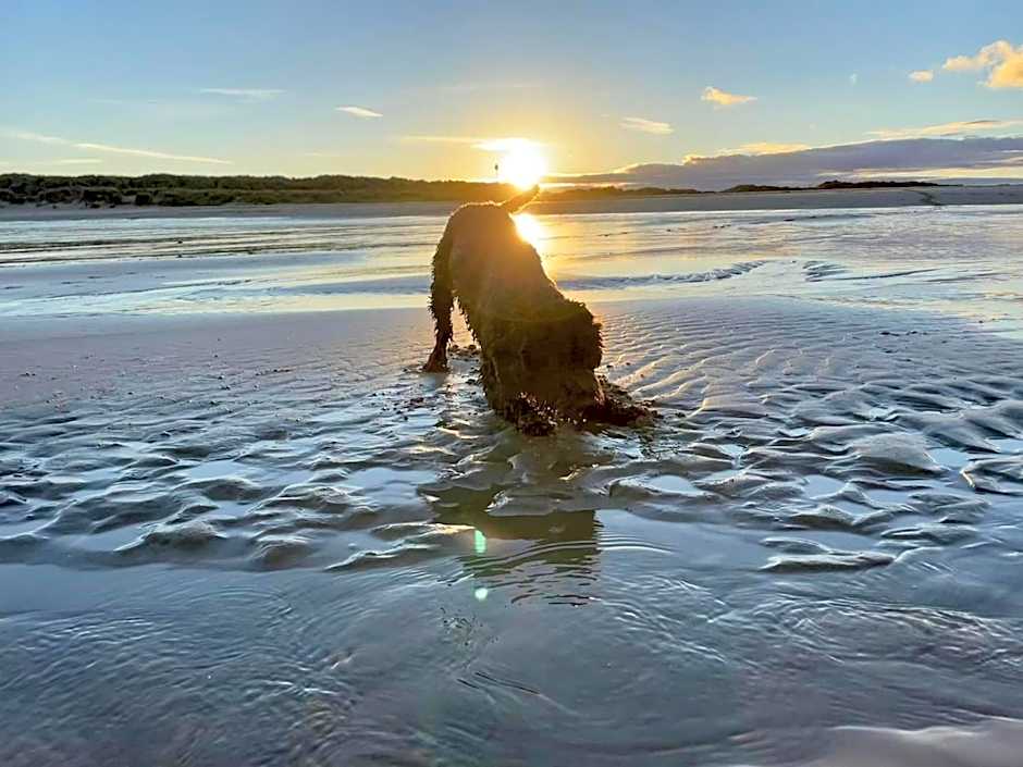 Heron 41, Scratby - California Cliffs, Parkdean, sleeps 6, pet friendly, bed linen and towels included - close to the beach