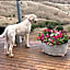 Amazing Views Pet Friendly Bed and Breakfast