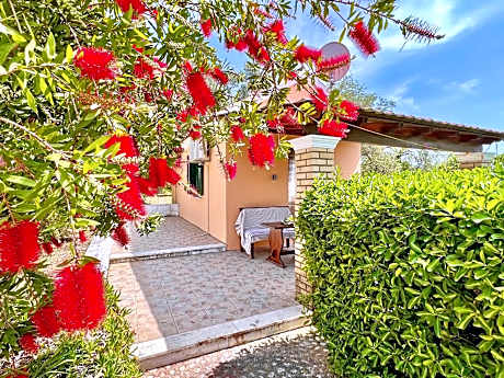 Renas Studio near Roda by DadoVillas