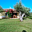 Villa Mimosa Tropea