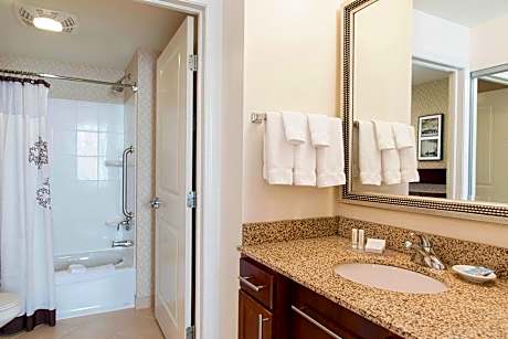 Suite, 1 Bedroom (Hearing Accessible) (1 King Bed and 1 Double Sofa Bed)