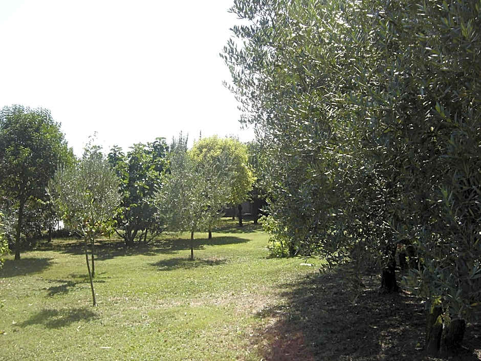 Il Boschetto