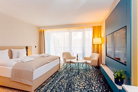 Double Room - Hotel*****