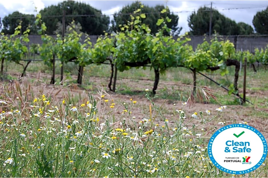 AmendoeirasHouse-SustainableLiving