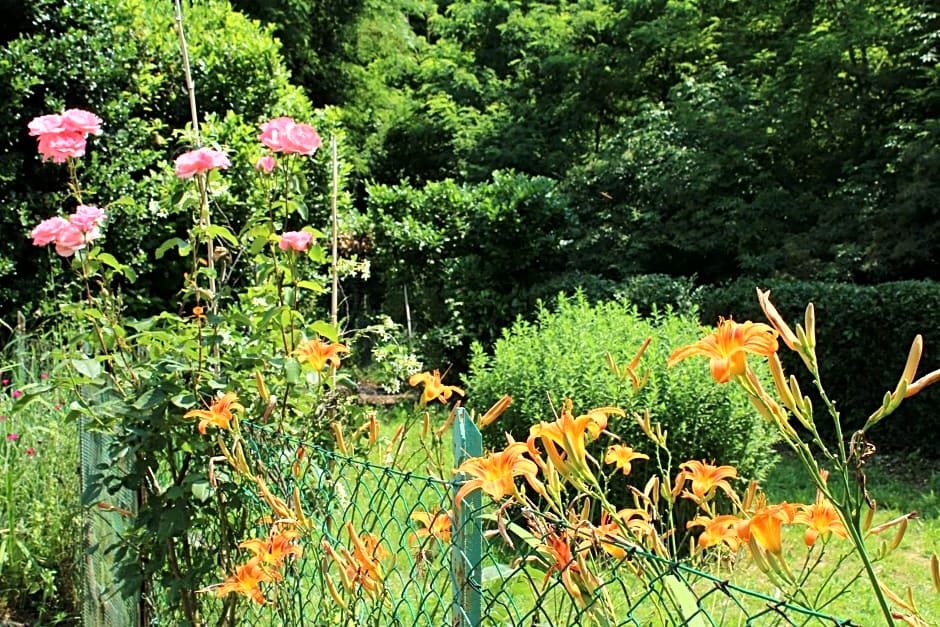 Il Casolare del Medio Olona