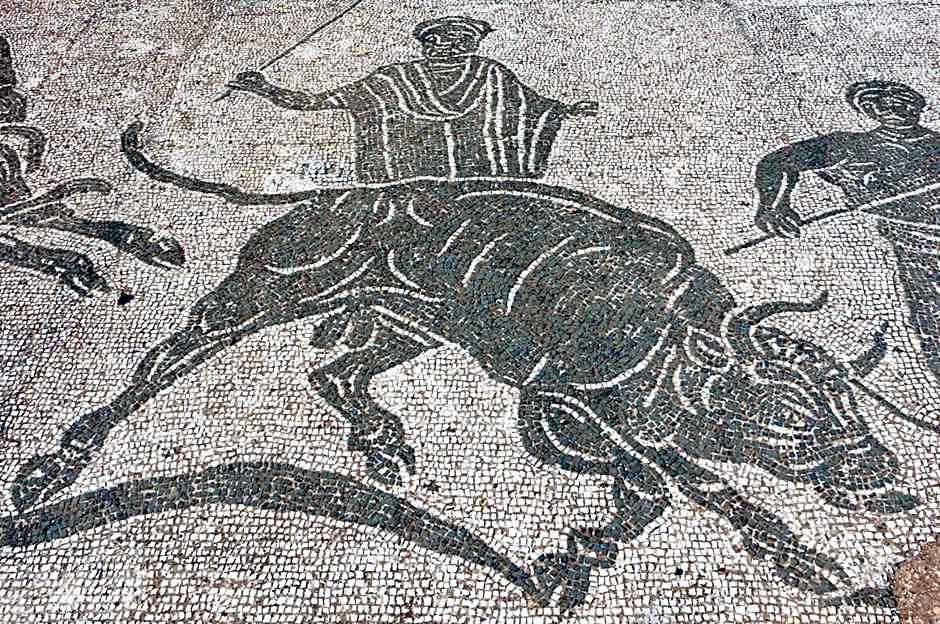 Smy Aran Blu Roma Mare