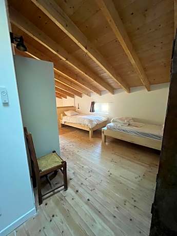 Bunk Bed in Mixed Dormitory Room