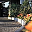Golden Pebble Hotel