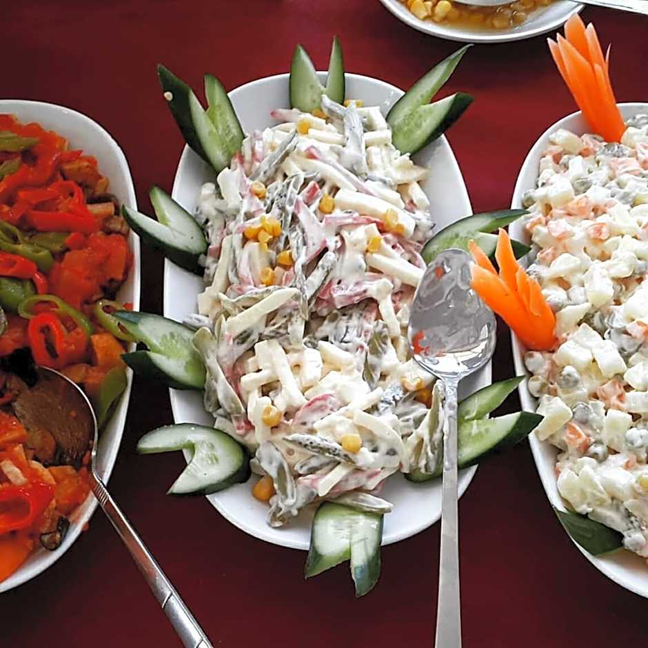 Osmaniye Hanedan Otel