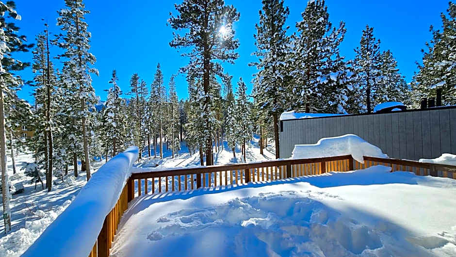 Cinnamon Bear Inn Bed And Breakfast