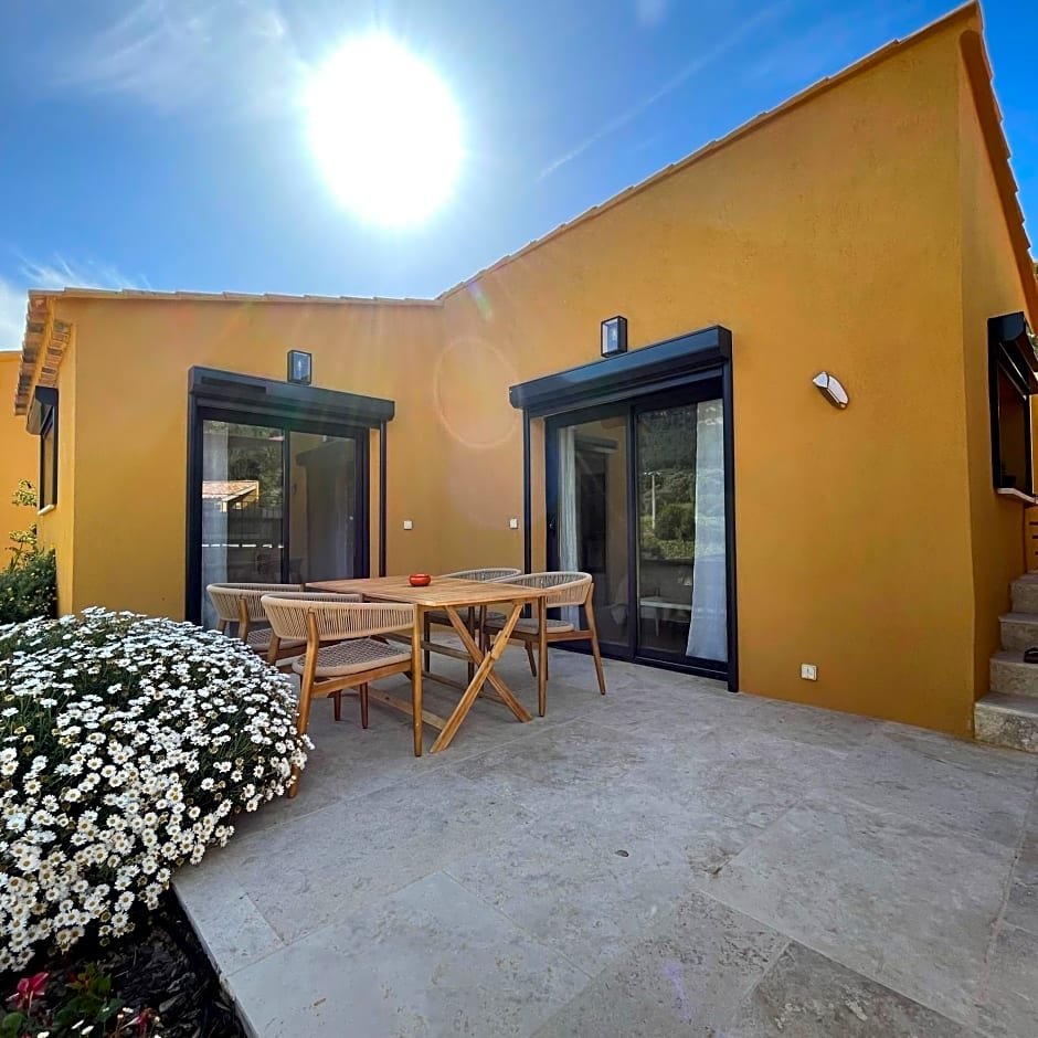 Côté vignes cassis