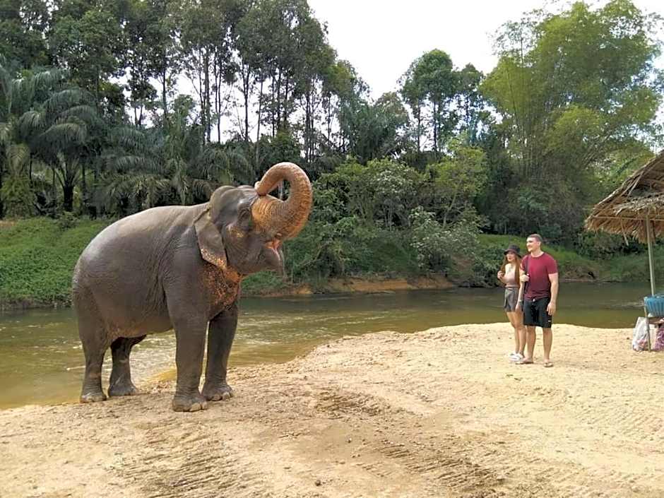 Khao Sok River & Jungle Bungalow