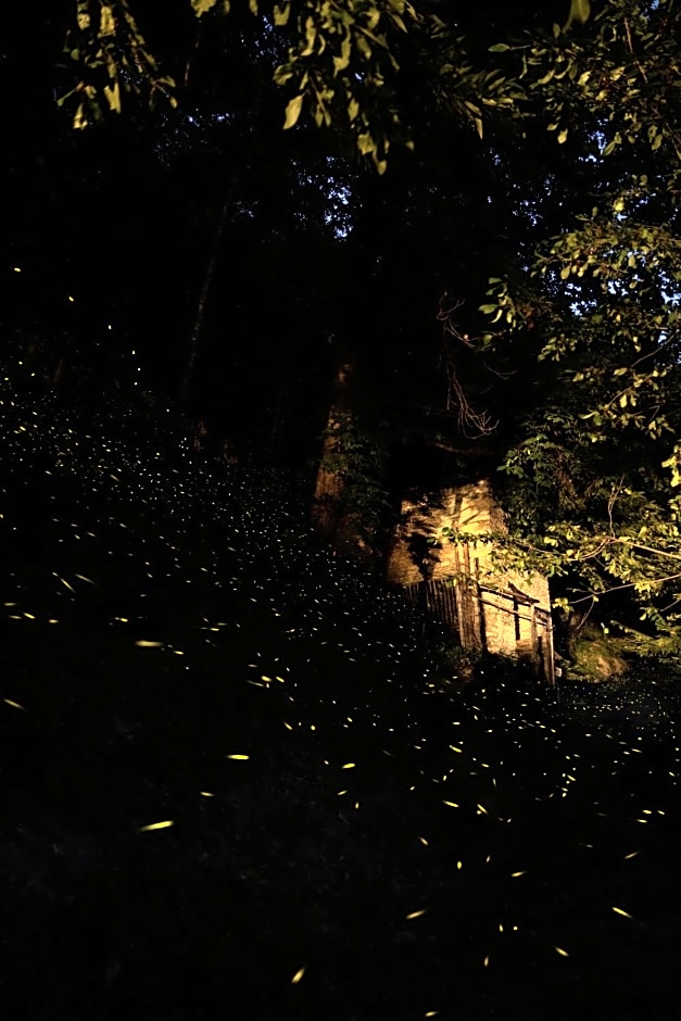 B&B IDUEVAGAMONDI immerso nel bosco tra le MONTAGNE con area benessere come EXTRA